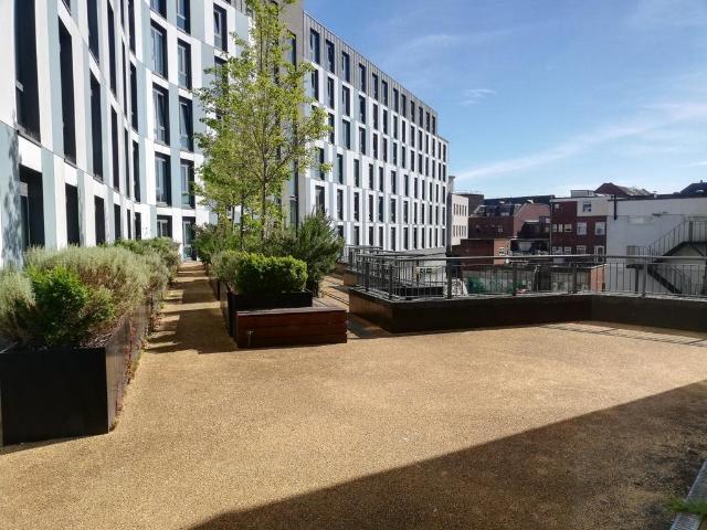 Apartment for rent in Red Hill, Surrey