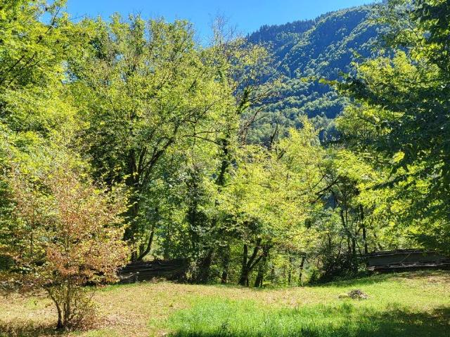 Terrain vente à Albertville, Queige