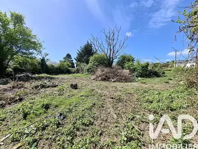 Terrain vente à Cherbourg, Quettehou