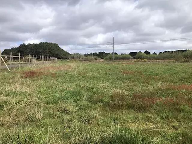 Terrain vente à Lesparre-Médoc, Queyrac