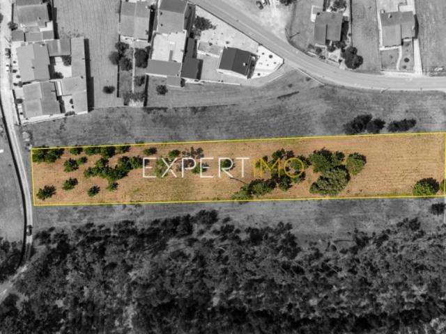 Terreno venda em Figueira Da Foz, Coimbra