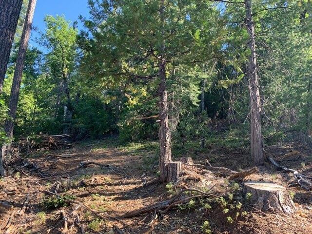 Land for sale in Pollock Pines, California