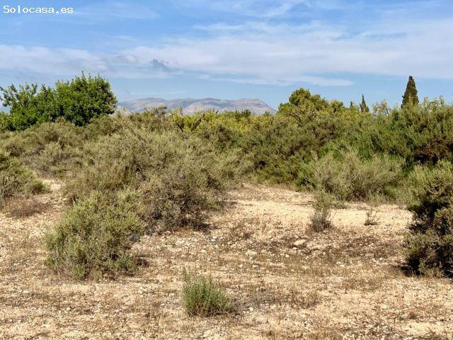 Local Comercial en venta en Elche De La Sierra, Castilla-La Mancha