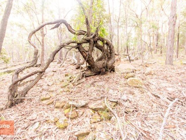 Cottage for sale in Bucketty, New South Wales