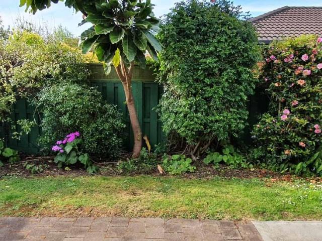 House for rent in Nelson, Nelson Bays