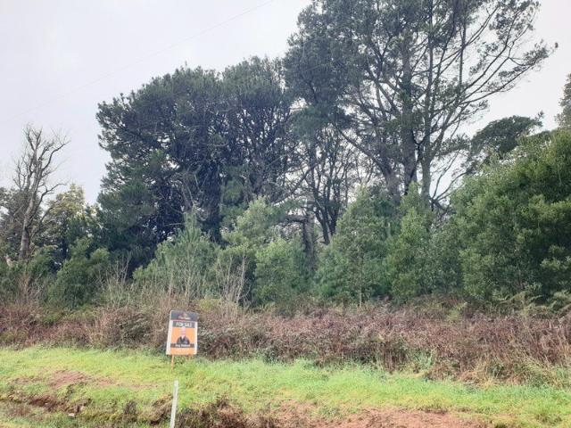 Land for sale in Stoodley, Tasmania