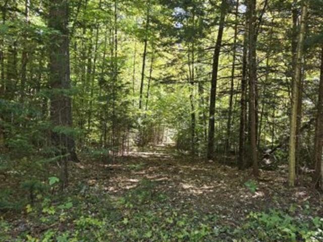 Land for sale in Wilmot, Merrimack County