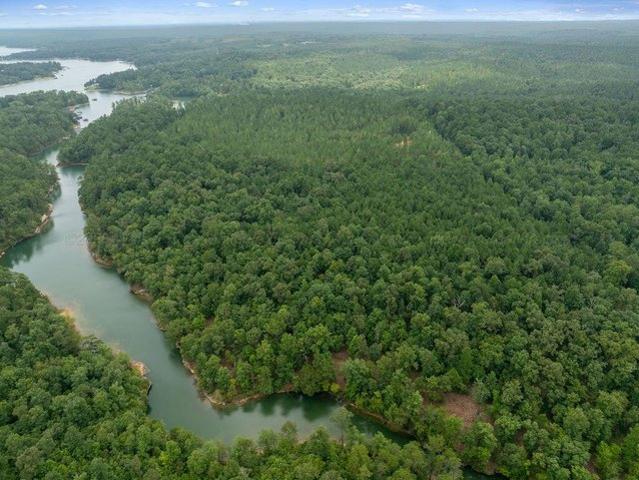 Land for sale in Double Springs, Alabama