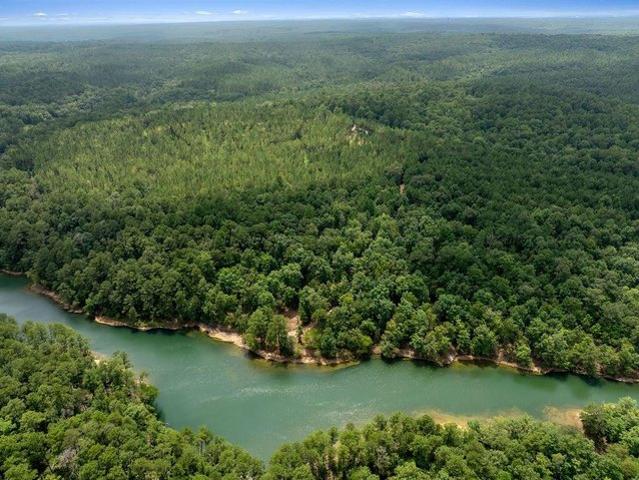 Land for sale in Double Springs, Alabama