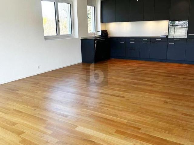 Apartment mieten in Menziken, Aargau