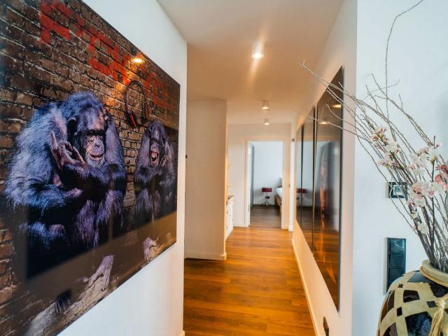 Apartment mieten in Mitte, Braunschweig
