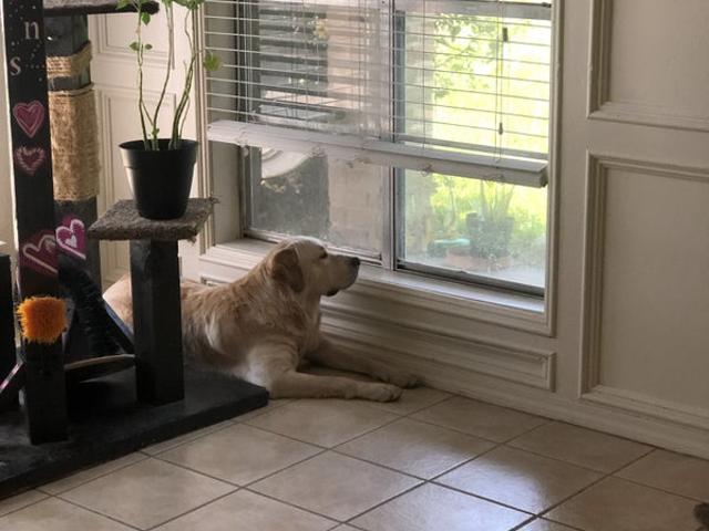 Room for rent in Austin, Texas