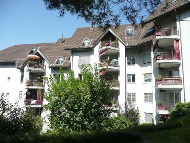 Apartment mieten in Lü