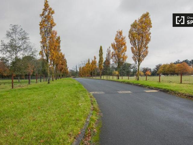 Room to rent in Donabate