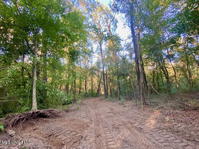 Land for sale in Magnolia, Mississippi