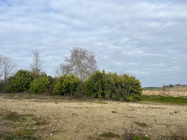 Terrain vente à Toulouse, Quint-fonsegrives