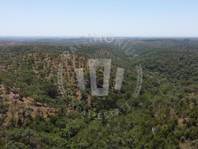 Quinta venda em Valinho, Santiago Do Cacém