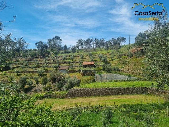 Quinta venda em Castelo Branco, Cumeada