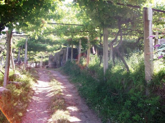 Quinta venda em Melgaço, Viana Do Castelo