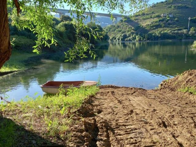 Quinta venda em Lamego, Viseu