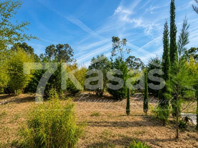 Quinta venda em Bombarral, Leiria