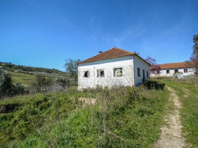 Quinta venda em Santarém