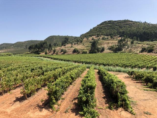 Terreno venda em Azambuja, Lisboa