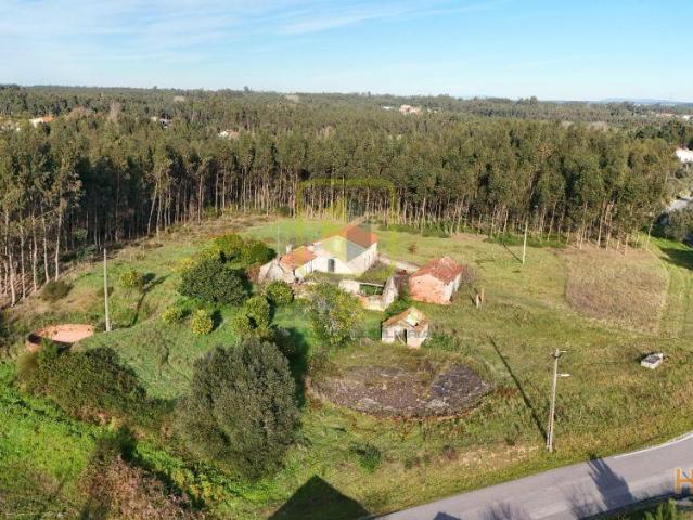 Quinta venda em Figueira Da Foz, Coimbra