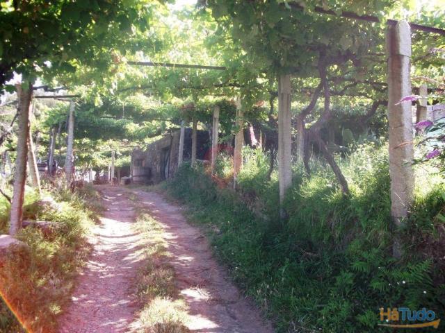 Quinta venda em Melgaço, Viana Do Castelo