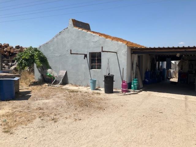 Quinta venda em Colonato de Santo Isidro de Pegões, Montijo