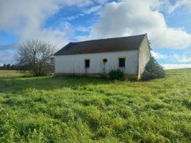 Quinta venda em Coruche, Santarém