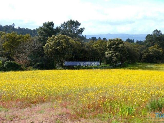 Terreno venda em Guarda, Celorico Da Beira