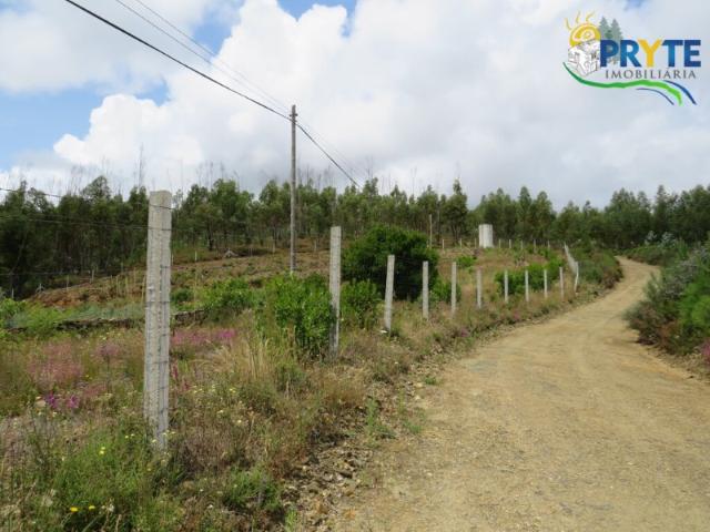 Quinta venda em Troviscal