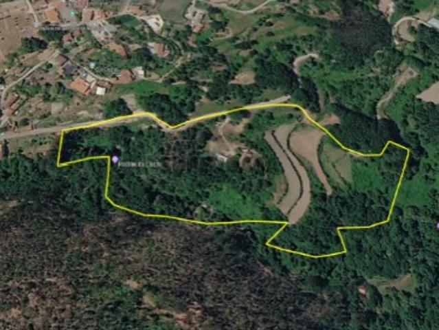 Terreno venda em Oliveira De Frades, Viseu