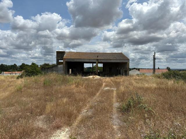 Quinta venda em Bairro Novo, Coruche