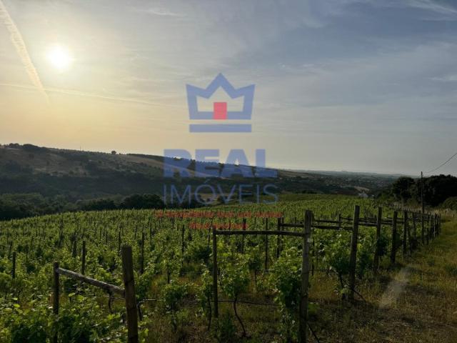 Quinta venda em Arneiro dos Borralhos, Achete