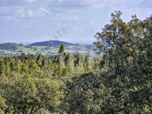 Quinta venda em Grândola, Setúbal