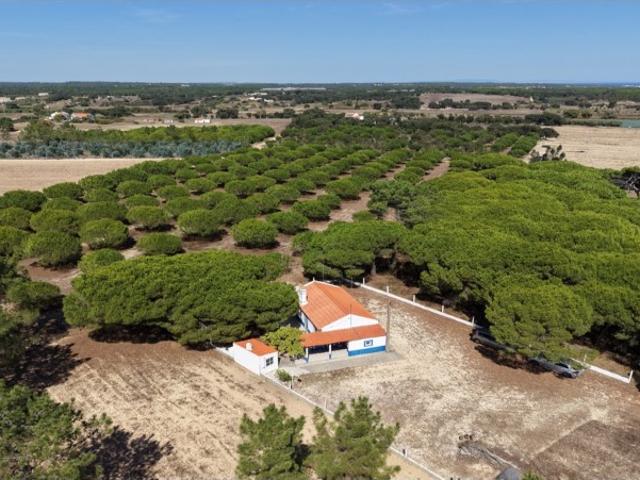 Quinta venda em Santiago Do Cacém, Setúbal