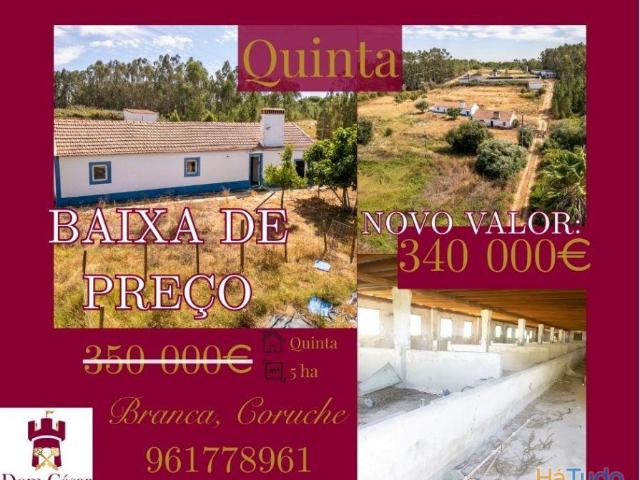 Quinta venda em Coruche, Santarém