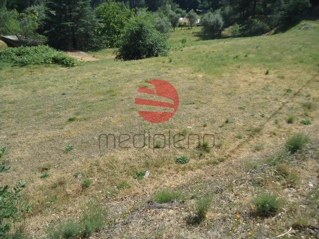 Quinta venda em Viseu