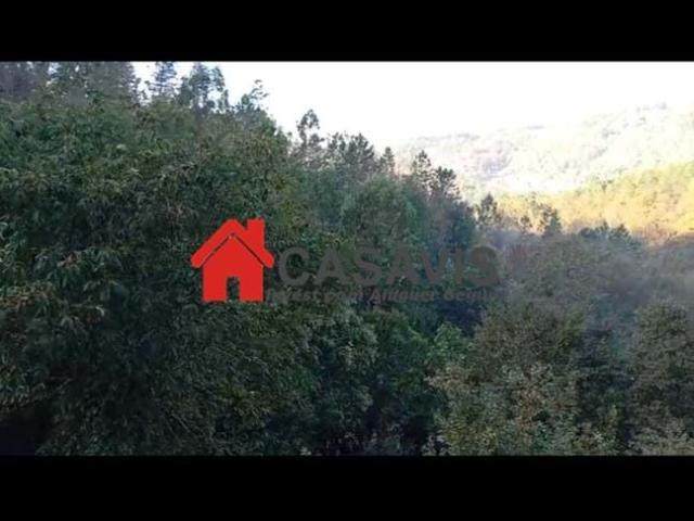 Quinta venda em Termas, São Pedro Do Sul