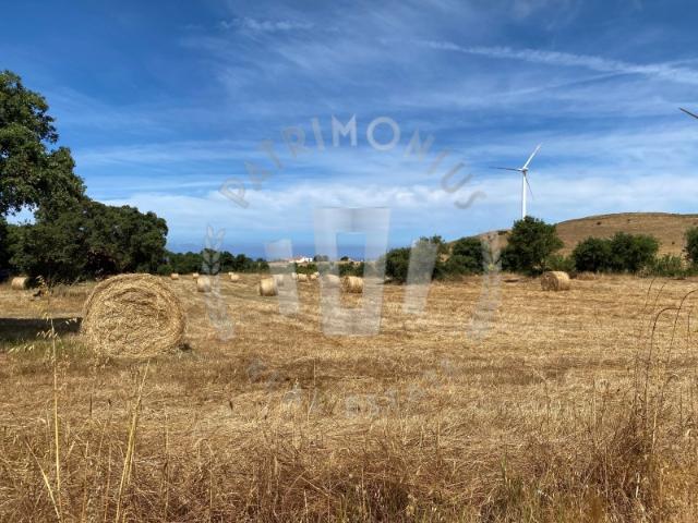 Quinta venda em Sines, Setúbal