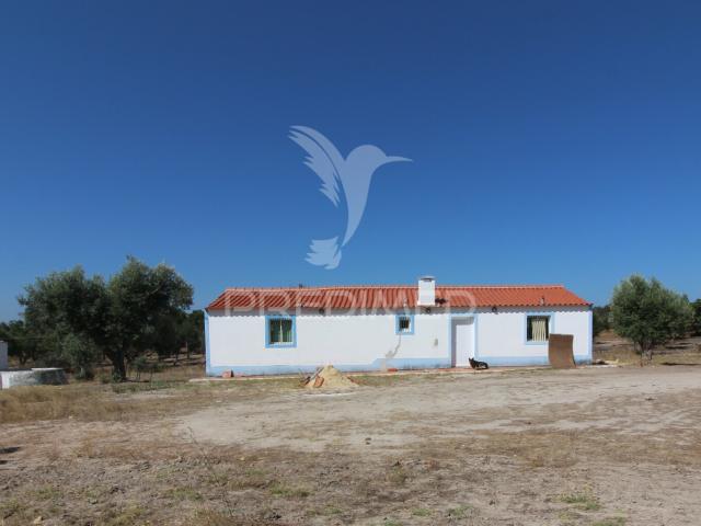 Quinta venda em Mora, Évora