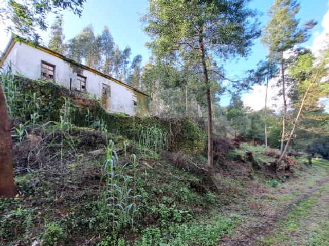 Quinta venda em Abrigueiro, Viana Do Castelo