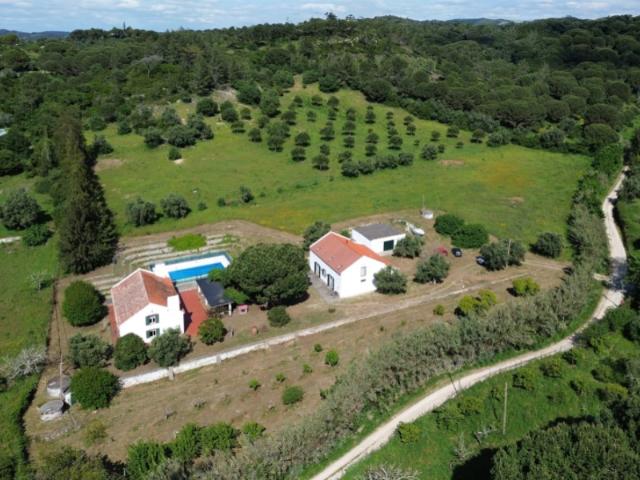 Quinta venda em Azeitão (São Lourenço e São Simão), Setúbal