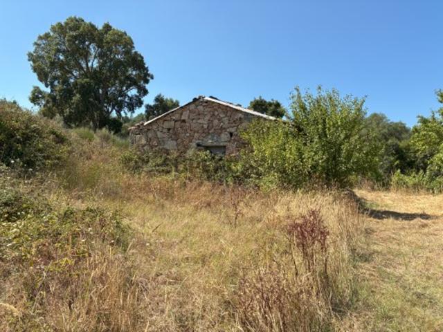 Terreno venda em Castelo Branco, Aldeia Nova Do Cabo