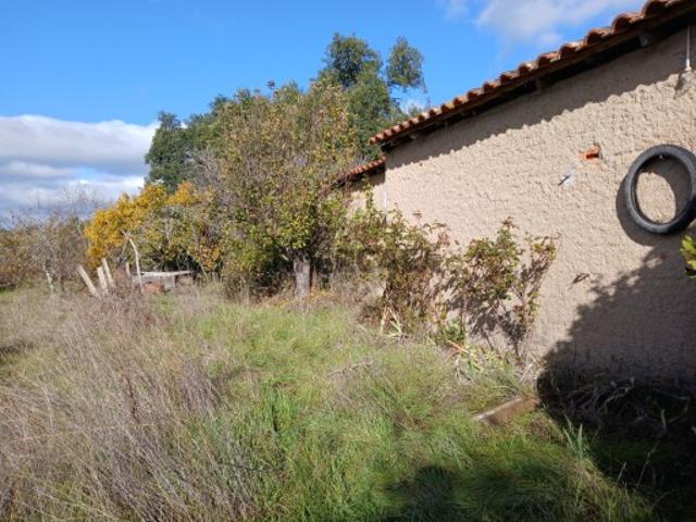 Casa venda em Castelo Branco