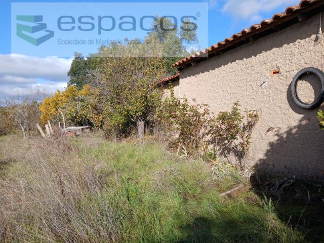 Quinta venda em Castelo Branco