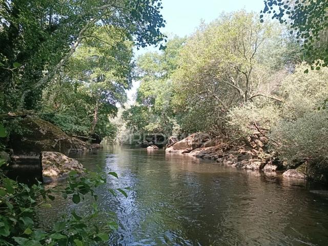 Quinta venda em Guarda, Celorico Da Beira