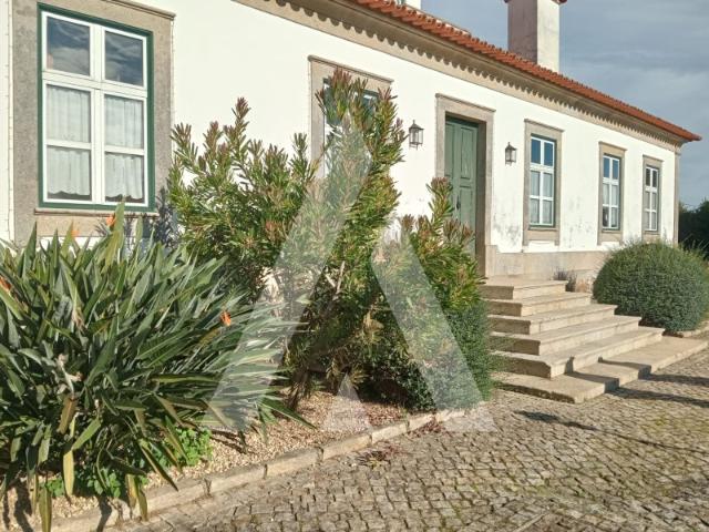 Quinta venda em Correlhã, Correlhã